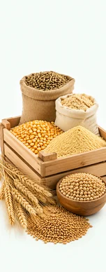 واردات تخصصی غلات و نهاده‌های دامی